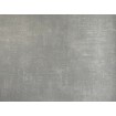 250404 Vliesová omyvatelná tapeta na zeď s vinylovým povrchem z kolekce Vavex Premium Selection 2024, velikost 53 cm x 10,05 m