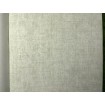 P492440074 A.S. Création vliesová tapeta na zeď Styleguide Jung 2024 žíhaná, velikost 10,05 m x 53 cm