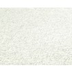 P492440109 A.S. Création vliesová tapeta na zeď Styleguide Jung 2024 bílá s metalickým žíháním, velikost 10,05 m x 53 cm
