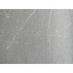 P492450059 A.S. Création historizující vliesová tapeta na zeď Styleguide Natürlich 2024 šedá s lesklým prolisem, velikost 10,05 m x 53 cm
