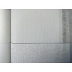 p492470172 A.S. Création vliesová tapeta na zeď Styleguide Colours 2024 svisle šrafovaná, velikost 10,05 m x 53 cm
