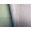 p492470219 A.S. Création vliesová tapeta na zeď Styleguide Colours 2024 svisle šrafovaná, velikost 10,05 m x 53 cm
