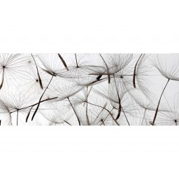 MP-2-0122 Vliesová obrazová panoramatická fototapeta Dandelion Seeds + lepidlo Zdarma, velikost 375 x 150 cm