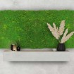 136685 Akustický panel s umělými rostlinami a motivem mechu 52x52x3,2 cm