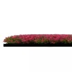 136689 Stěnový květinový panel, 52x52x2,8 cm, design Flora
