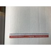 142402 RASCH přetiratelná vliesová tapeta na zeď Wallton 2020, velikost 53 cm x 10,05 m