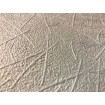 166101 RASCH přetiratelná vliesová tapeta na zeď Wallton 2020, velikost 53 cm x 10,05 m