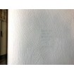 169201 RASCH přetiratelná vliesová tapeta na zeď Wallton 2020, velikost 53 cm x 10,05 m