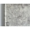 170803 Vliesová omyvatelná tapeta na zeď s vinylovým povrchem z kolekce Vavex Wallpaper 2024, velikost 53 cm x 10,05 m