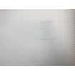 183306 RASCH přetiratelná vliesová tapeta na zeď Wallton 2020, velikost 53 cm x 10,05 m