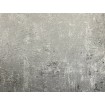 KT02-7032 A.S. Création vliesová tapeta na zeď Dimex výběr 2021, velikost 10,05 m x 53 cm