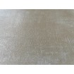 250402 Vliesová omyvatelná tapeta na zeď s vinylovým povrchem z kolekce Vavex Premium Selection 2024, velikost 53 cm x 10,05 m