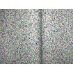 288208 Rasch textilní vliesová tapeta na zeď s odolným vinylovým povrchem z kolekce Pettite Fleur 5 (2024), velikost 10,05 m x 53 cm