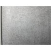 30646-2 A.S. Création 3D vliesová tapeta na zeď Titanium 3 (2024), velikost 10,05 m x 53 cm