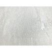 31051 Marburg luxusní omyvatelná vliesová tapeta Platinum 2022, velikost 10,05 m x 70 cm