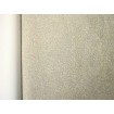 31622 Marburg omyvatelná luxusní vliesová tapeta na zeď Avalon 2022 - Hrubá tkanina, velikost 10,05 m x 53 cm