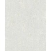 31647 Marburg omyvatelná luxusní vliesová tapeta na zeď Avalon 2022 - Metalický štuk, velikost 10,05 m x 53 cm