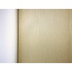 KT5-72343 A.S.Création Luxusní omyvatelná vliesová tapeta na zeď Versace 3, velikost 10,05 m x 70 cm