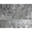 KT3-81163 AS Création vliesová tapeta na zeď Neue Bude 2.0 (2023) (Dimex výběr 2020), velikost 10,05 m x 53 cm