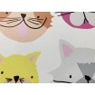 36754-2 Dětská papírová tapeta na zeď Dimex výběr 2020 - kočičky, velikost 10,05 m x 53 cm