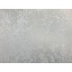 KT6-05073 Luxusní omyvatelná vliesová tapeta na zeď Versace 4 (2022), velikost 10,05 m x 70 cm