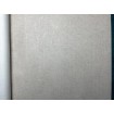 38198-1 A.S. Création 3D vliesová tapeta na zeď Titanium 3 (2024), velikost 10,05 m x 53 cm