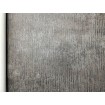 38199-5 A.S. Création 3D vliesová tapeta na zeď Titanium 3 (2024), velikost 10,05 m x 53 cm