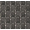 38202-4 A.S. Création 3D vliesová tapeta na zeď Titanium 3 (2024), velikost 10,05 m x 53 cm