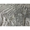 38203-5 A.S. Création 3D vliesová tapeta na zeď Titanium 3 (2024), velikost 10,05 m x 53 cm