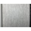 38205-6 A.S. Création 3D vliesová tapeta na zeď Titanium 3 (2024), velikost 10,05 m x 53 cm