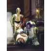 4-447 Obrazová fototapeta Komar Star Wars Three Droids, velikost 184x254 cm