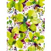 KOMR 249-4 Fototapeta Komar Viva - orchidea, velikost 184x254 cm