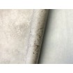 417036 Rasch moderní vliesová tapeta na zeď Finca 2022, velikost 10,05 m x 53 cm