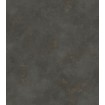 417159 Rasch moderní vliesová tapeta na zeď Finca 2022, velikost 10,05 m x 53 cm
