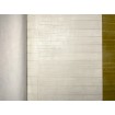418415 Rasch omyvatelná vliesová tapeta na zeď s velmi odolným vinylovým povrchem z kolekce Club (2023), velikost 10,05 m x 53 cm