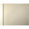 418644 Rasch omyvatelná vliesová tapeta na zeď s velmi odolným vinylovým povrchem z kolekce Club (2023), velikost 10,05 m x 53 cm
