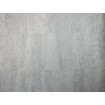 418910 Rasch omyvatelná vliesová tapeta na zeď s velmi odolným vinylovým povrchem z kolekce Club (2023), velikost 10,05 m x 53 cm