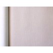 424065 Rasch omyvatelná vliesová tapeta s vinylovým povrchem Aldora 2020, velikost 10,05 m x 53 cm