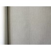424072 Rasch omyvatelná vliesová tapeta s vinylovým povrchem Aldora 2020, velikost 10,05 m x 53 cm