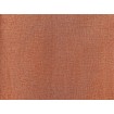 449051 Rasch omyvatelná vliesová tapeta na zeď s velmi odolným vinylovým povrchem z kolekce Kalahari 2023, velikost 10,05 m x 53 cm