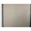 484656 Rasch omyvatelná vliesová tapeta na zeď s odolným vinylovým povrchem z kolekce Florentine III (2024), velikost 10,05 m x 53 cm