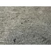 520873 Rasch vliesová omyvatelná tapeta na zeď Concrete 2024, velikost 10,05 m x 53 cm