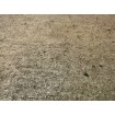 520897 Rasch vliesová omyvatelná tapeta na zeď Concrete 2024, velikost 10,05 m x 53 cm