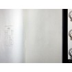 52576 Luxusní omyvatelná designová vliesová tapeta Gloockler Imperial 2020, velikost 10,05 m x 70 cm