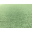 537918 Rasch vliesová tapeta na zeď Club botanique 2022 - jednobarevná, velikost 10,05 m x 53 cm