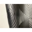 54466 Luxusní omyvatelná designová vliesová tapeta Gloockler Imperial 2020, velikost 10,05 m x 70 cm