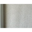 552355 Rasch omyvatelná vliesová tapeta na zeď s velmi odolným vinylovým povrchem z kolekce Salisbury 2023, velikost 10,05 m x 53 cm