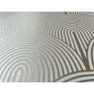 552478 Rasch omyvatelná vliesová tapeta na zeď s velmi odolným vinylovým povrchem z kolekce Salisbury 2023, velikost 10,05 m x 53 cm