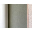 552744 Rasch omyvatelná vliesová tapeta na zeď s velmi odolným vinylovým povrchem z kolekce Salisbury 2023, velikost 10,05 m x 53 cm