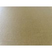 552805 Rasch omyvatelná vliesová tapeta na zeď s velmi odolným vinylovým povrchem z kolekce Salisbury 2023, velikost 10,05 m x 53 cm